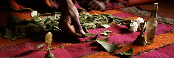 Coca Leaf Reading Ceremony